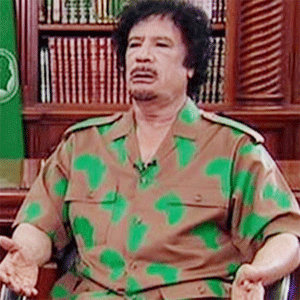 قذافى: نيجريه تقسيم شود